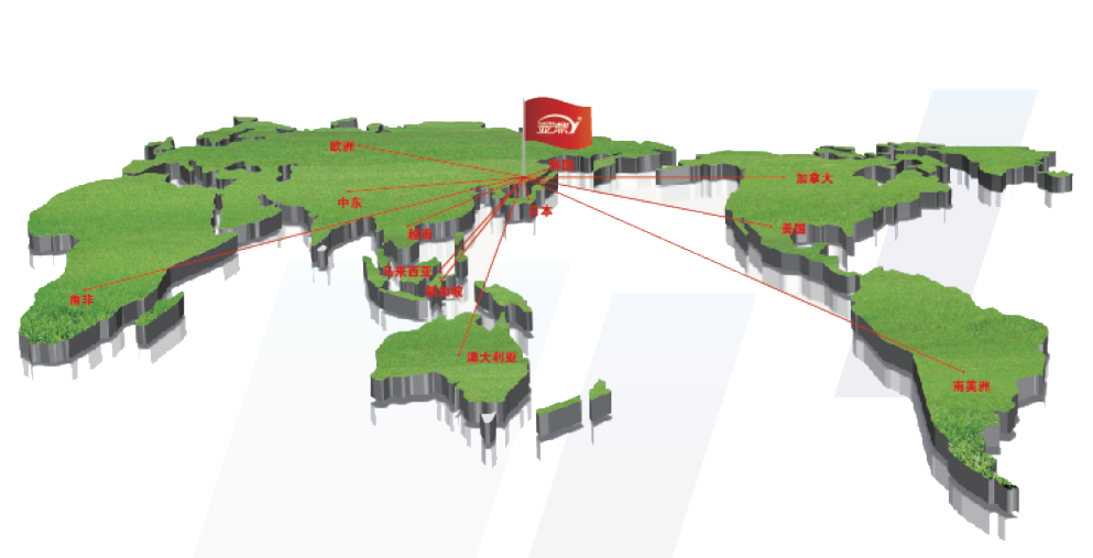 國（guó）際銷售圖